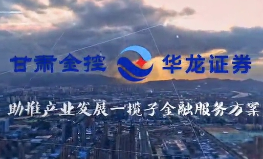 甘肅金控集團助推產業(yè)發(fā)展一攬子金融服務方案匯報片